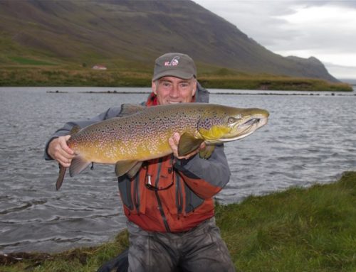 Hnausi geymir þá góða